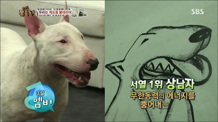 주인이 100％ 노린 이름 | 인스티즈