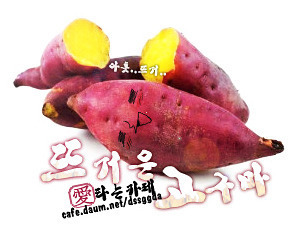 심즈하는데 집사떼들이 몰려옴ㅋㅋㅋㅋㅋㅋㅋㅋㅋㅋㅋㅋㅋㅋ | 인스티즈