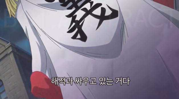 [원피스] 본인이 선호하는 정의는? | 인스티즈