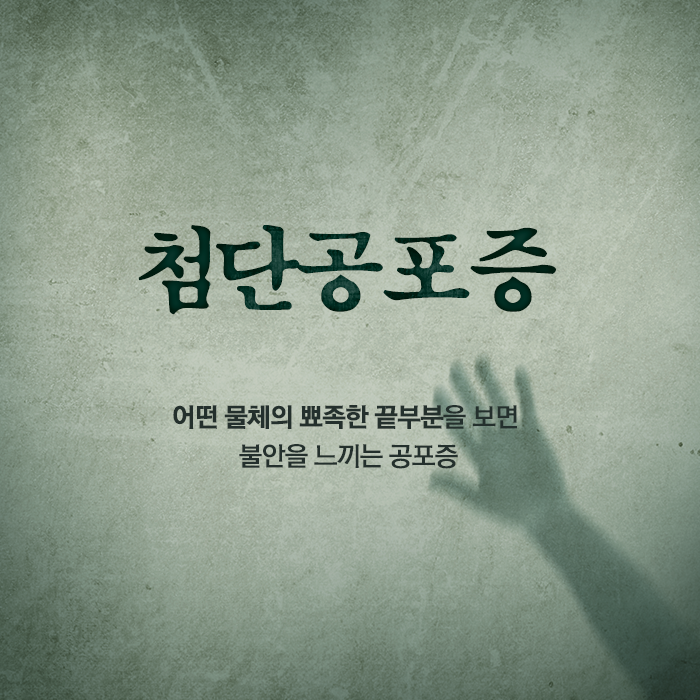 이거 무서워 하는 사람 꼭 있다 | 인스티즈