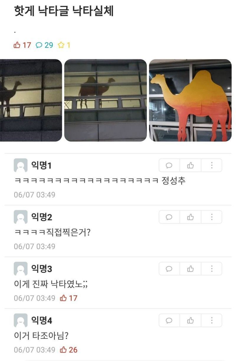 경북대 에타 레전드 모음 | 인스티즈