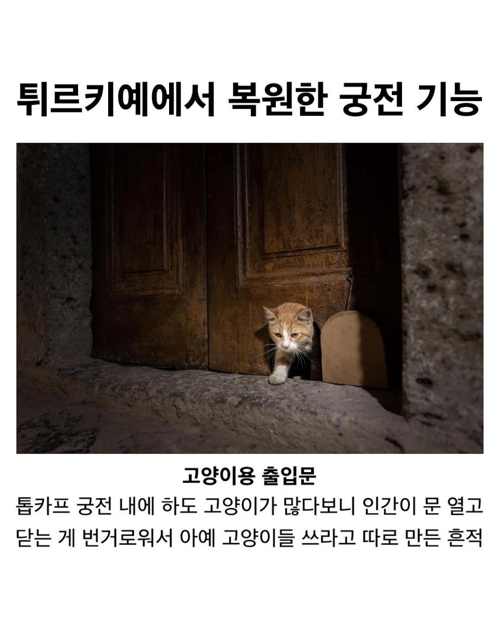튀르키예에서 복원한 궁전 기능🏰 | 인스티즈