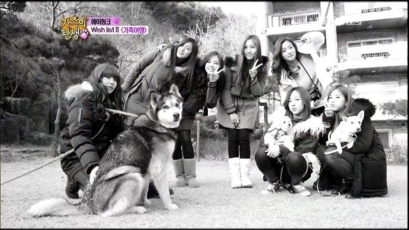 에이핑크의 인기요인 중 못해도 40퍼는 했다고 보는 것 | 인스티즈
