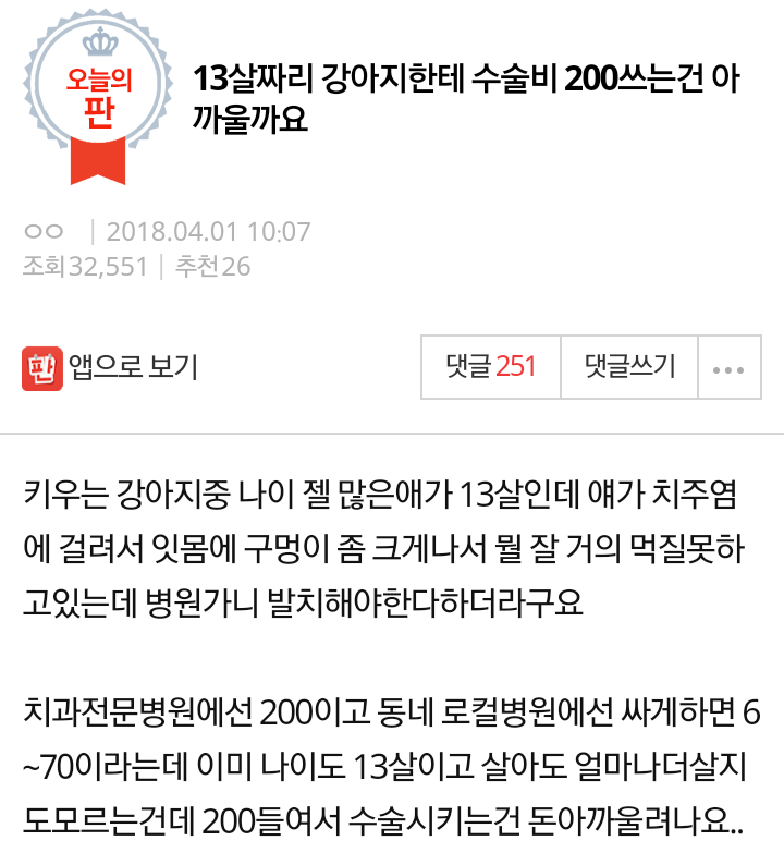 13살짜리 강아지한테 수술비 200쓰는건 아까울까요...jpg | 인스티즈