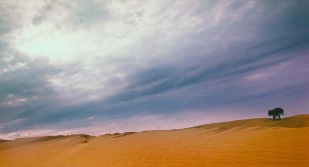 옛날영화의 흔한 영상미.jpg | 인스티즈