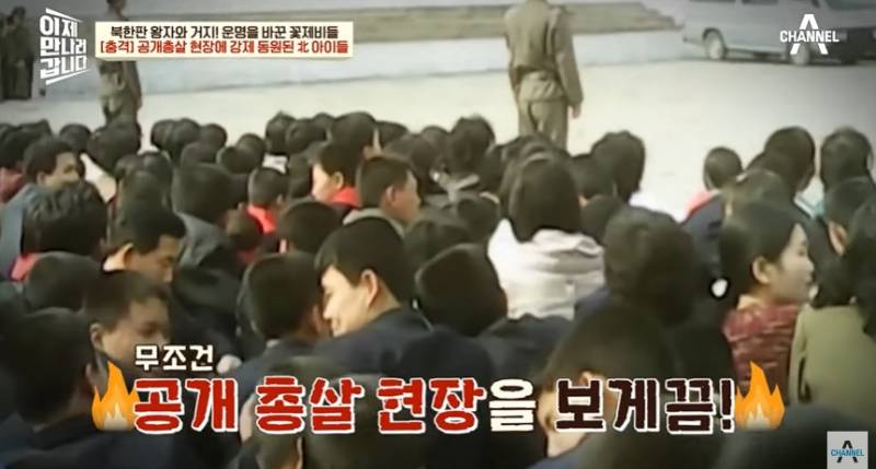 임산부도 얄짤없이 공개총살하는 북한 | 인스티즈