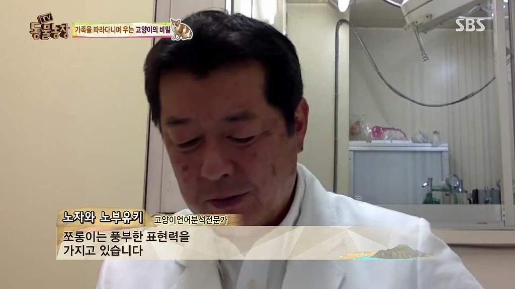 [동물농장] 존트 할말 다 하고 사는 수다쟁이 고양이 쪼롱이ㅋㅋㅋㅋ.jpg (스압) | 인스티즈
