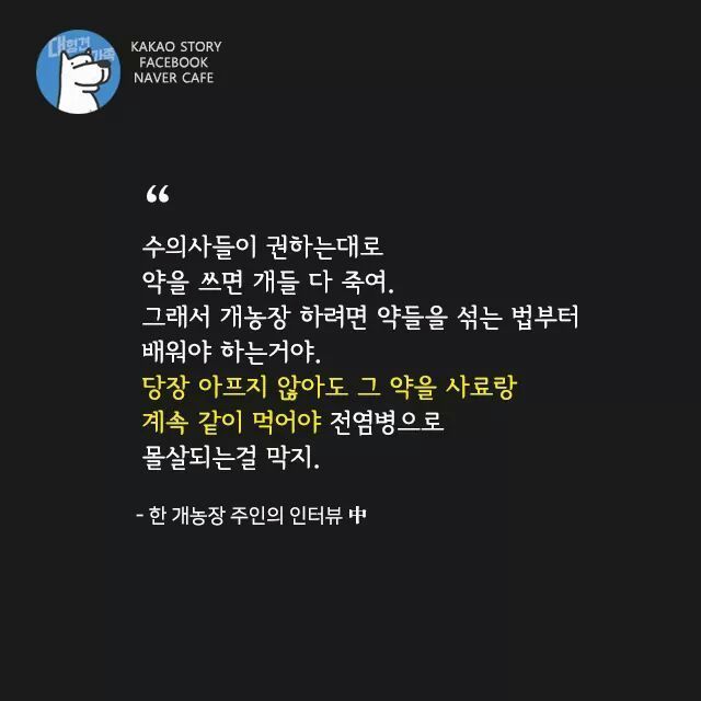 개고기를 먹지말아야 하는 설득력이 있는 이유 | 인스티즈