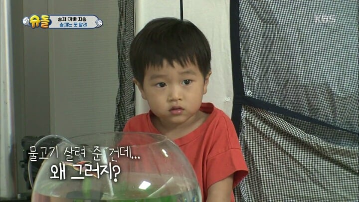 아빠의 중요 파일이 담긴 죽은 물고기를 어항에 넣어준 승재.jpg | 인스티즈