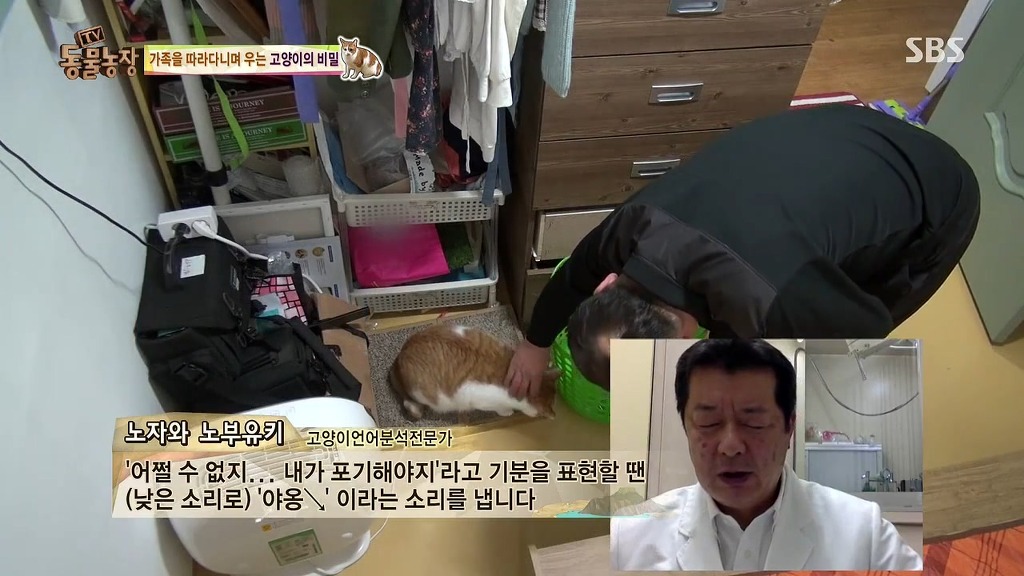 [동물농장] 존트 할말 다 하고 사는 수다쟁이 고양이 쪼롱이ㅋㅋㅋㅋ.jpg | 인스티즈