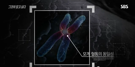 그것이알고싶다 비극의상견례 4편 (마지막) | 인스티즈