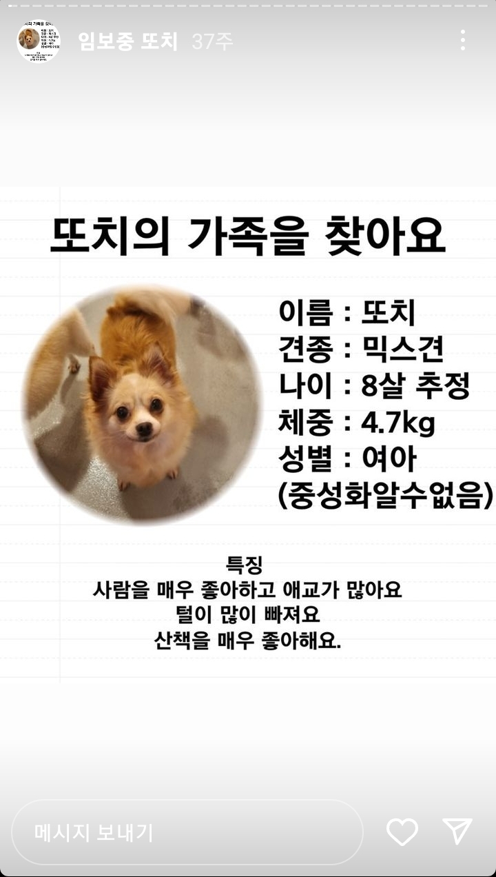유기견 카페에서 강아지 때리고 발로 차는 아이와 부모반응 | 인스티즈