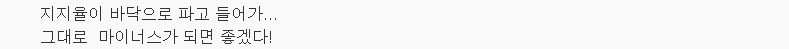 朴대통령 지지율 26%.. 영남·5060 이탈 | 인스티즈