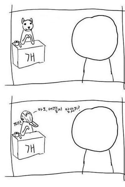 이거보고 안 웃으면.. | 인스티즈