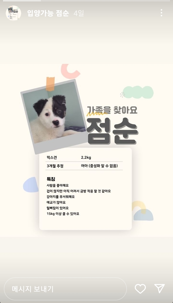 유기견 카페에서 강아지 때리고 발로 차는 아이와 부모반응 | 인스티즈