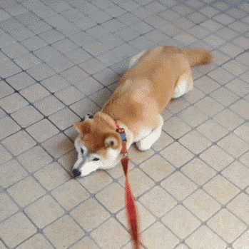 혼자 가라고 씨바.gif | 인스티즈