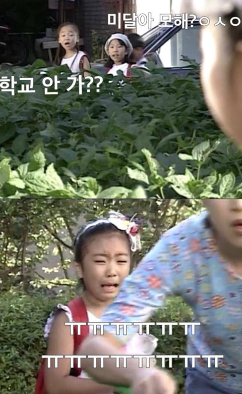 방학숙제 하루만에 끝내는 법 .jpg | 인스티즈