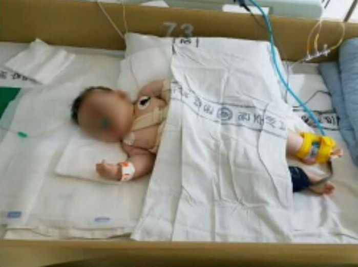 교통사고로 부모 잃고 보험사에 소송해야 하는 '30개월 아기' | 인스티즈