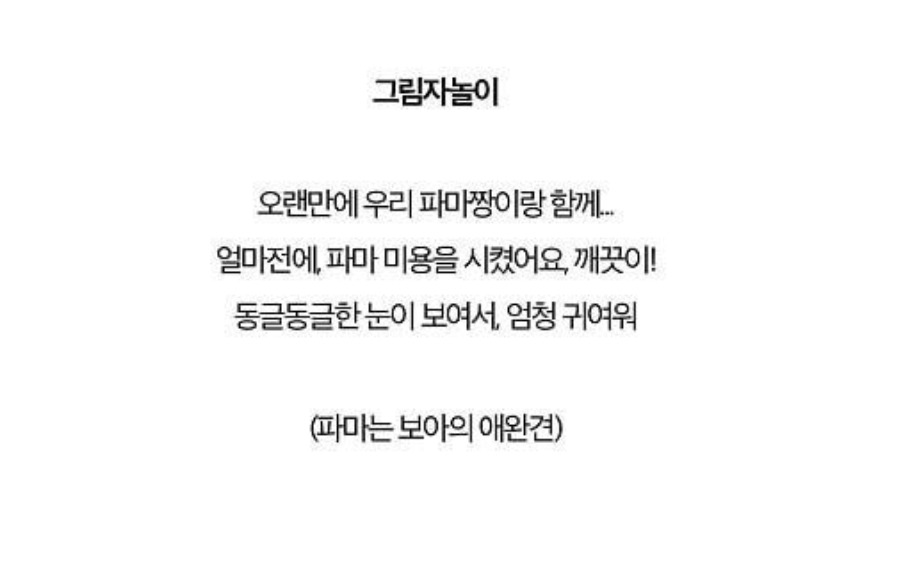 보아가 일본 블로그 방문자 1위하던 시절 올린 글들과 사진 | 인스티즈