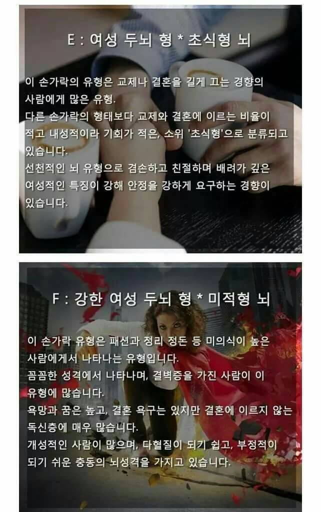 손가락 길이로 보는 뇌 유형.jpg | 인스티즈