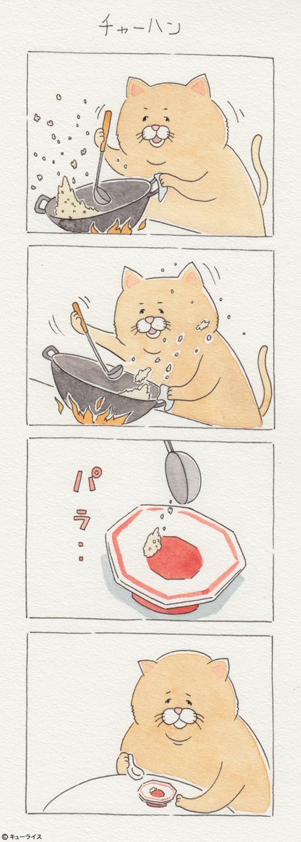 유감스러운 고양이 | 인스티즈