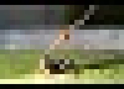 숙주 조종하면서 갖고노는 기생충놈들ㄷㄷ.jpg | 인스티즈