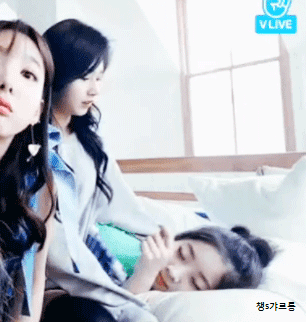 [트와이스] 김다현의 적나라한 콧구멍 | 인스티즈