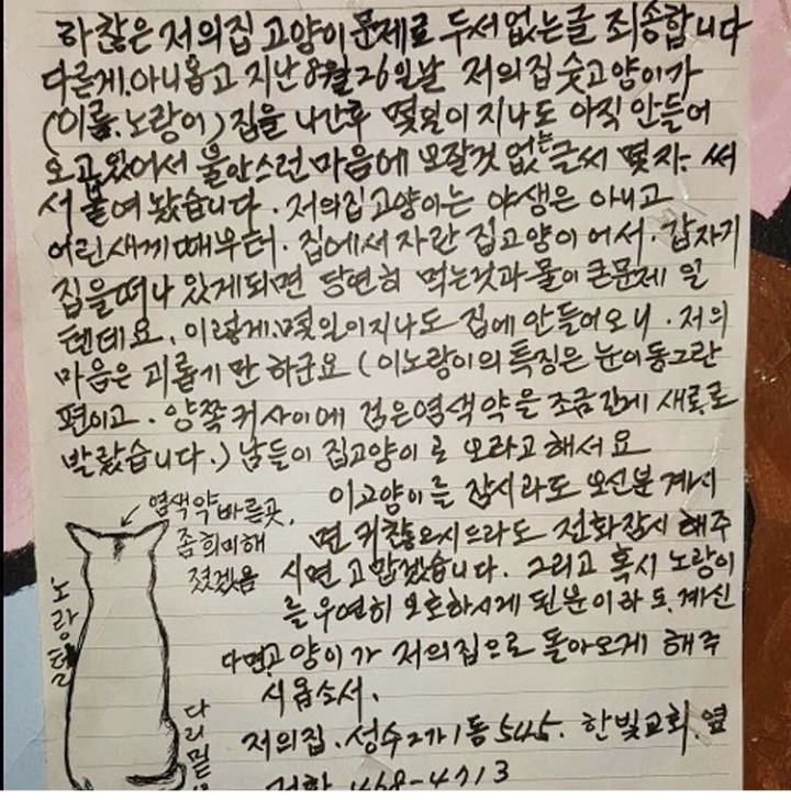 80세 할아버지가 고양이를 애타게 찾고계셔 | 인스티즈