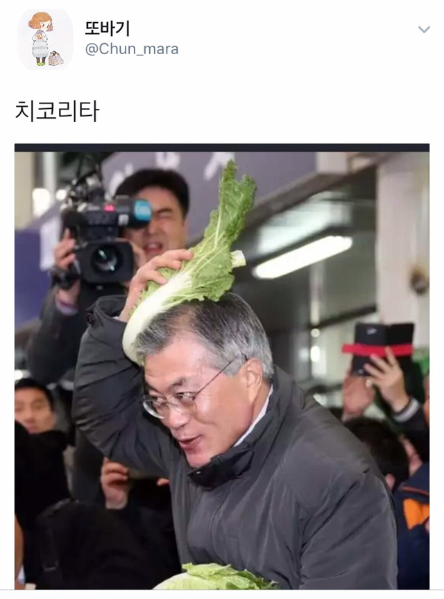 치코리타 | 인스티즈