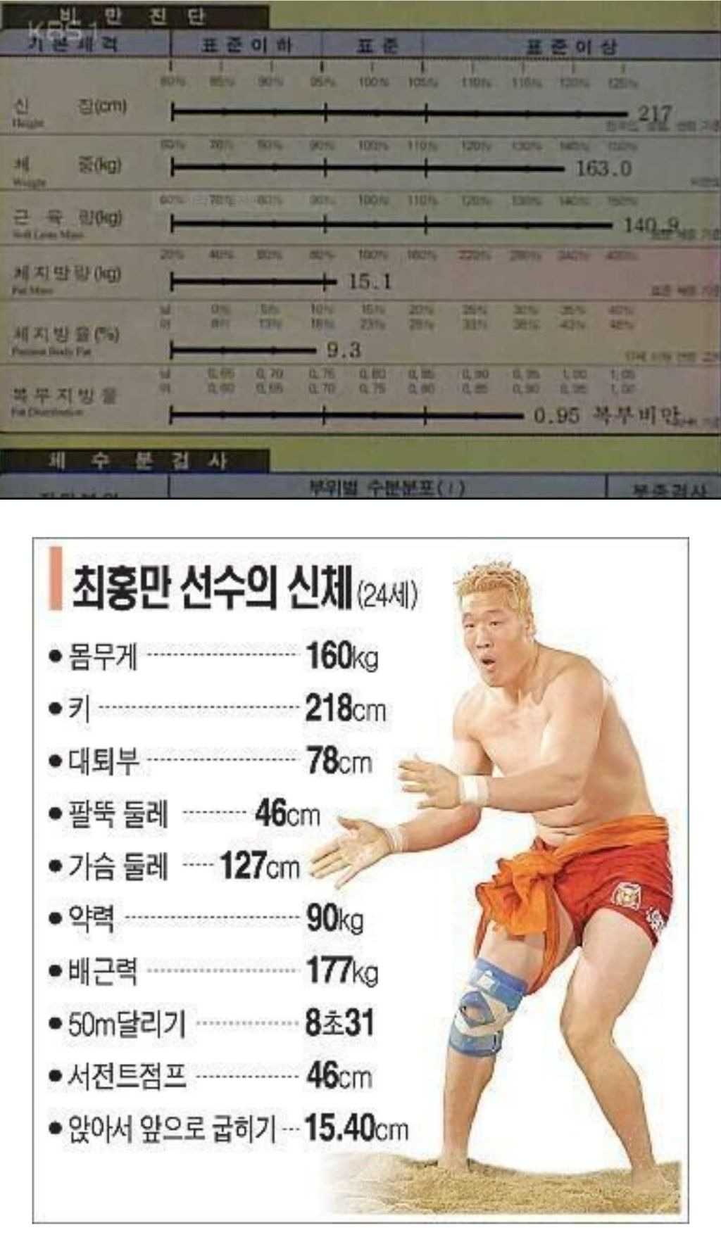 최홍만 아시아 피지컬 원탑이던 시절 | 인스티즈