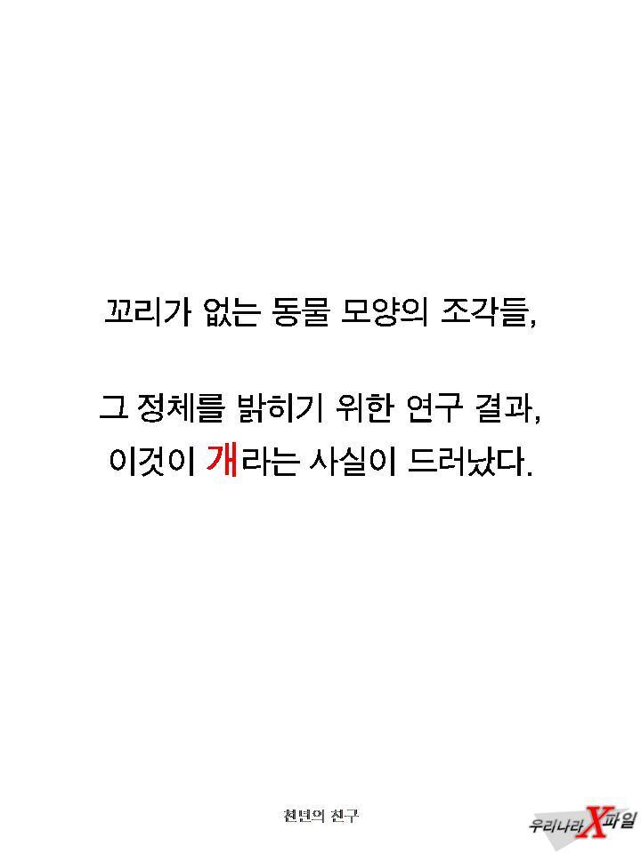충격적인 개의 실체 ㄷㄷㄷㄷㄷ.JPG | 인스티즈