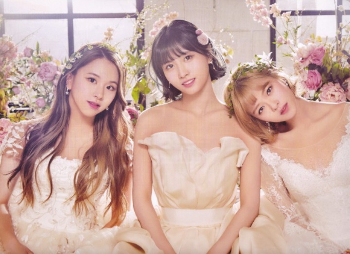 트와이스 9명 웨딩 드레스 (데이터 주의) | 인스티즈