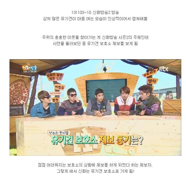 [신화방송] 상처 많은 유기견이 마음 여는 모습이 인상적이었던 방송 | 인스티즈