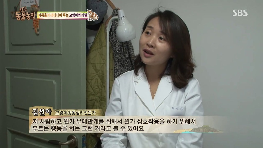 [동물농장] 존트 할말 다 하고 사는 수다쟁이 고양이 쪼롱이ㅋㅋㅋㅋ.jpg | 인스티즈