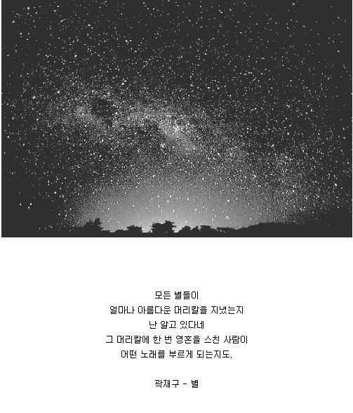 너는 내가 읽은 가장 아름다운 구절이다 | 인스티즈