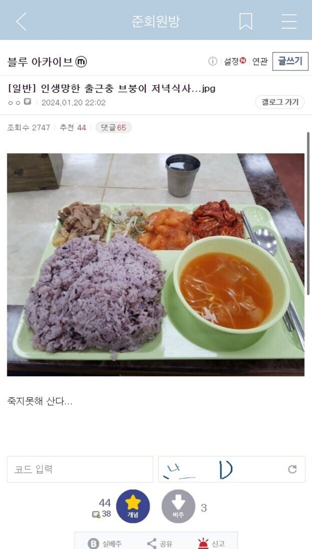 교수 딸 키우는 고양이 죽어서 동물 장례식장 갔다 왔다는데 | 인스티즈