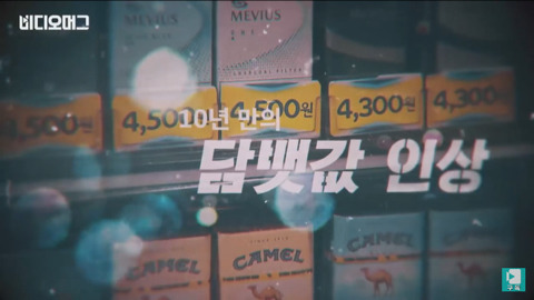 503 하이라이트 (1주년기념) | 인스티즈