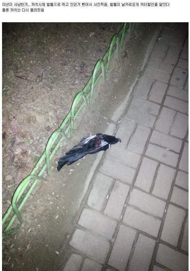 새주의)디시 새줍갤 레전드.jpg | 인스티즈