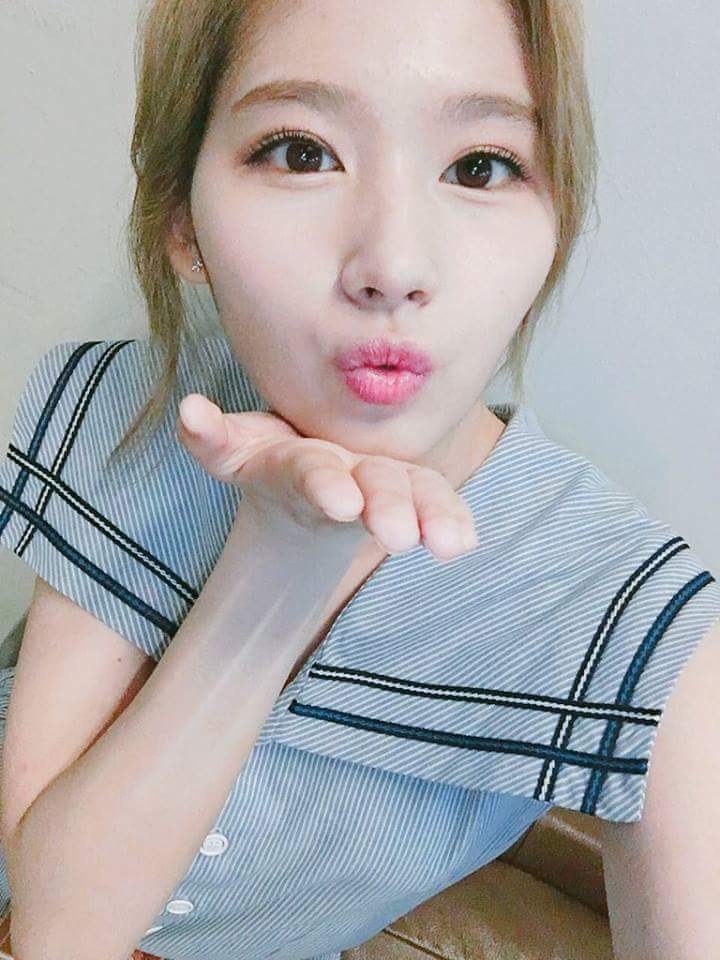 새벽의 트와이스 | 인스티즈