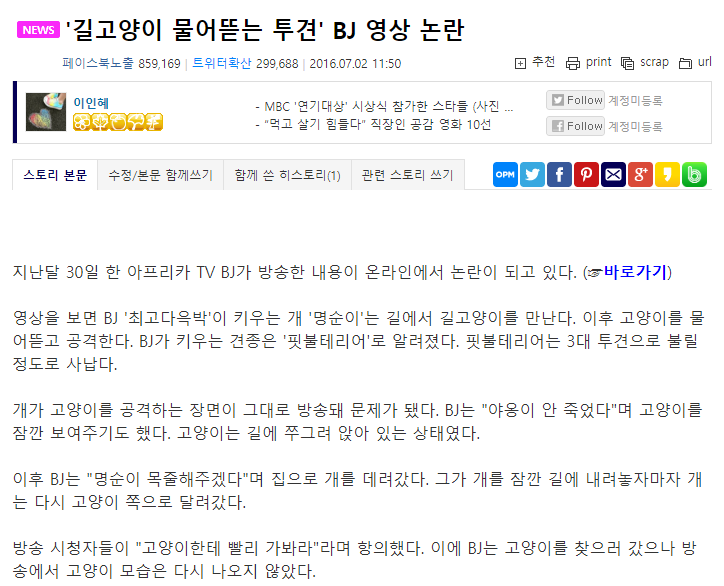 모르는 사람이 많은것같아서 쓰는 아프리카BJ 최고다윽박 고양이사건 | 인스티즈