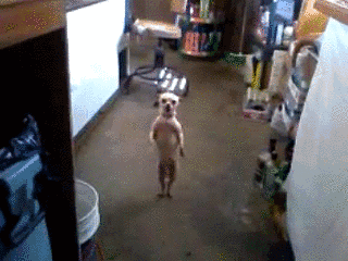 이해하면 무서운 사진 .gif | 인스티즈