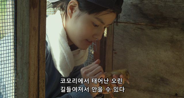 오리를 좋아하는 소녀.jpg | 인스티즈