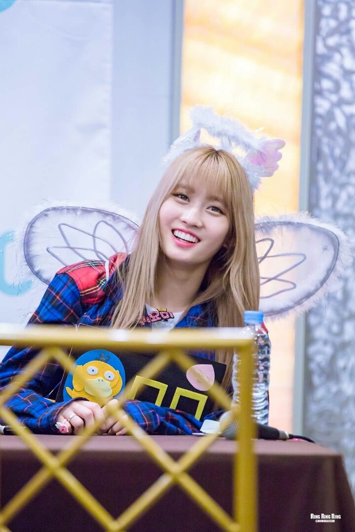 새벽의 트와이스 | 인스티즈