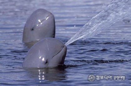 공감 100% 도전 | 인스티즈
