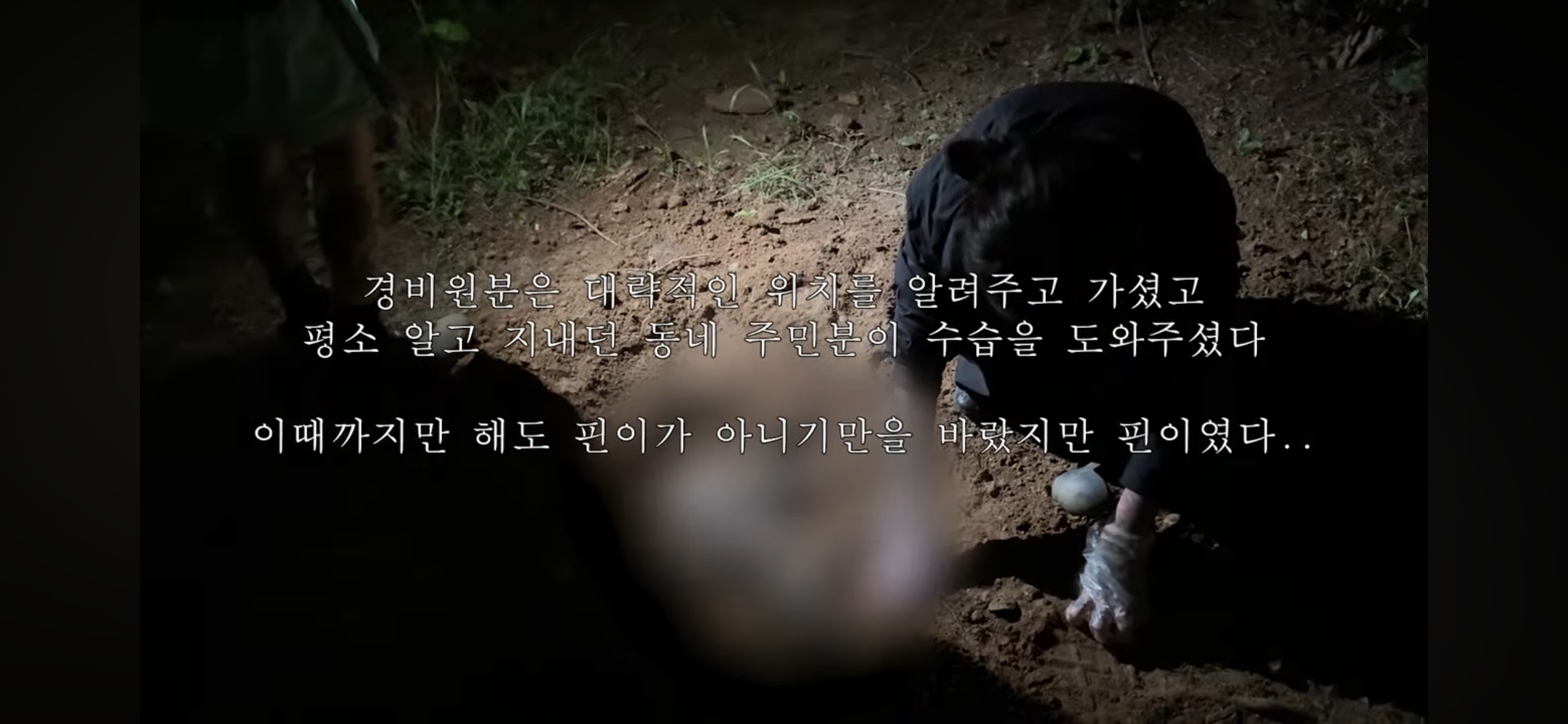 커플유튜버 다나나 고양이 청소업체 부주의로 무지개다리 건넜대 | 인스티즈