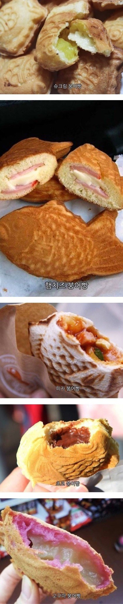 붕어빵의 진화 | 인스티즈
