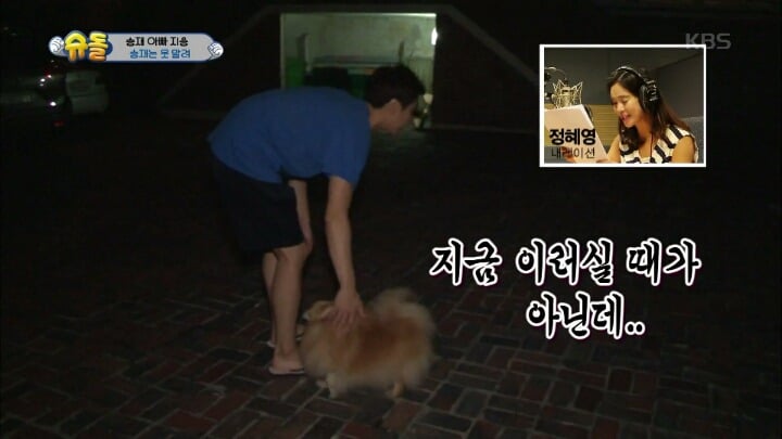 아빠의 중요 파일이 담긴 죽은 물고기를 어항에 넣어준 승재.jpg | 인스티즈