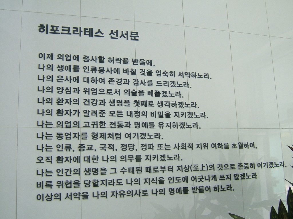 의사가 되기전에 한다는 선서 | 인스티즈