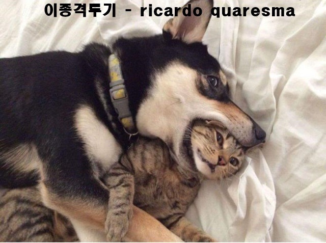 바다가 무서운이유 | 인스티즈