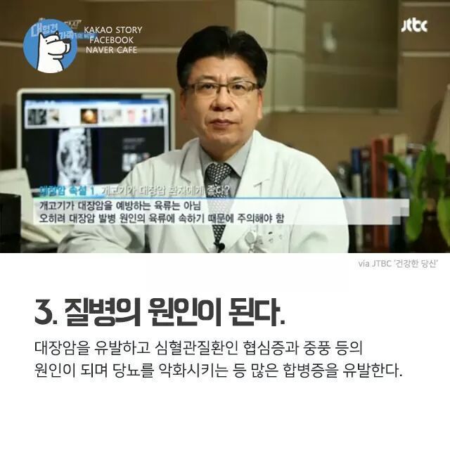 개고기를 먹지말아야 하는 설득력이 있는 이유 | 인스티즈